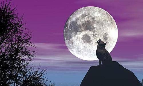 猴子|二郎神手下的哮天犬有多厉害？竟敢斗胆吞月宫
