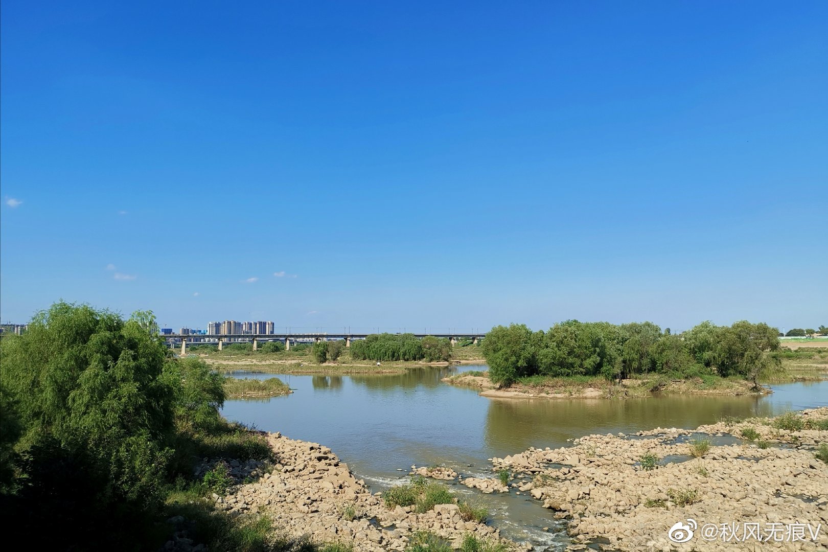 浐灞(|西安蓝里的浐灞，鹭鸶嬉戏，花草灿阳，留下湿地美幻时光