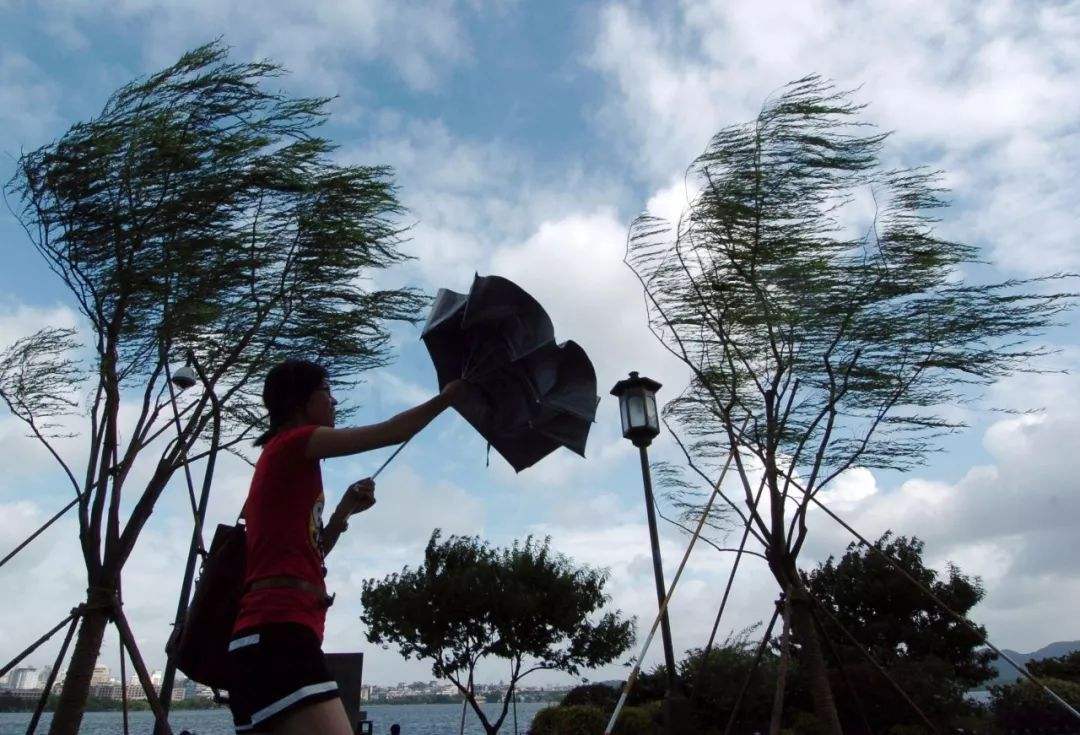 台风蓝色预警:浙江上海等地沿海将有7-9级大风_手机搜狐网