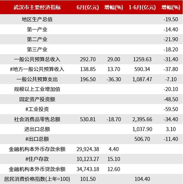 武汉2019人口普查结果_武汉人口分布图(3)