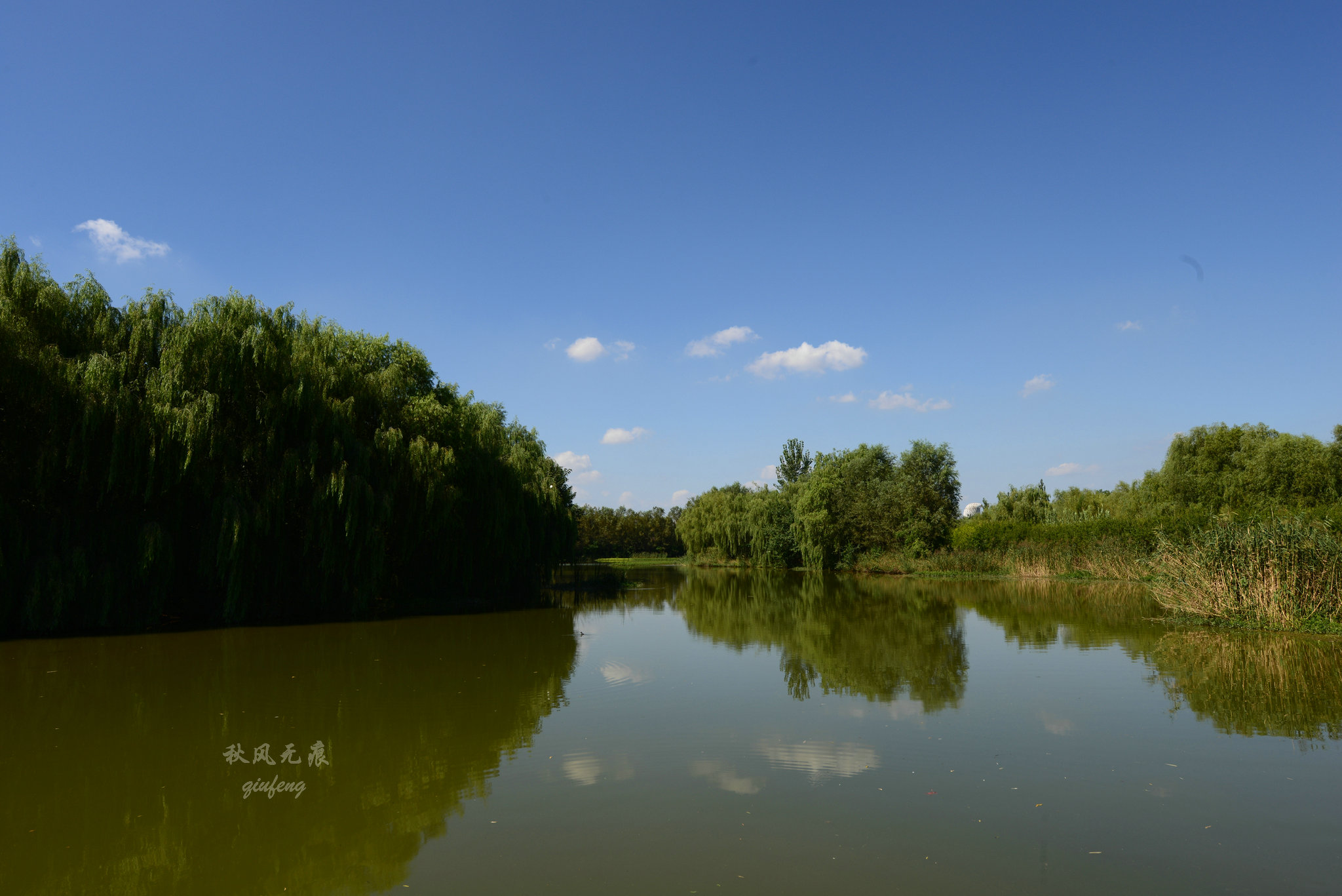 浐灞(|西安蓝里的浐灞，鹭鸶嬉戏，花草灿阳，留下湿地美幻时光