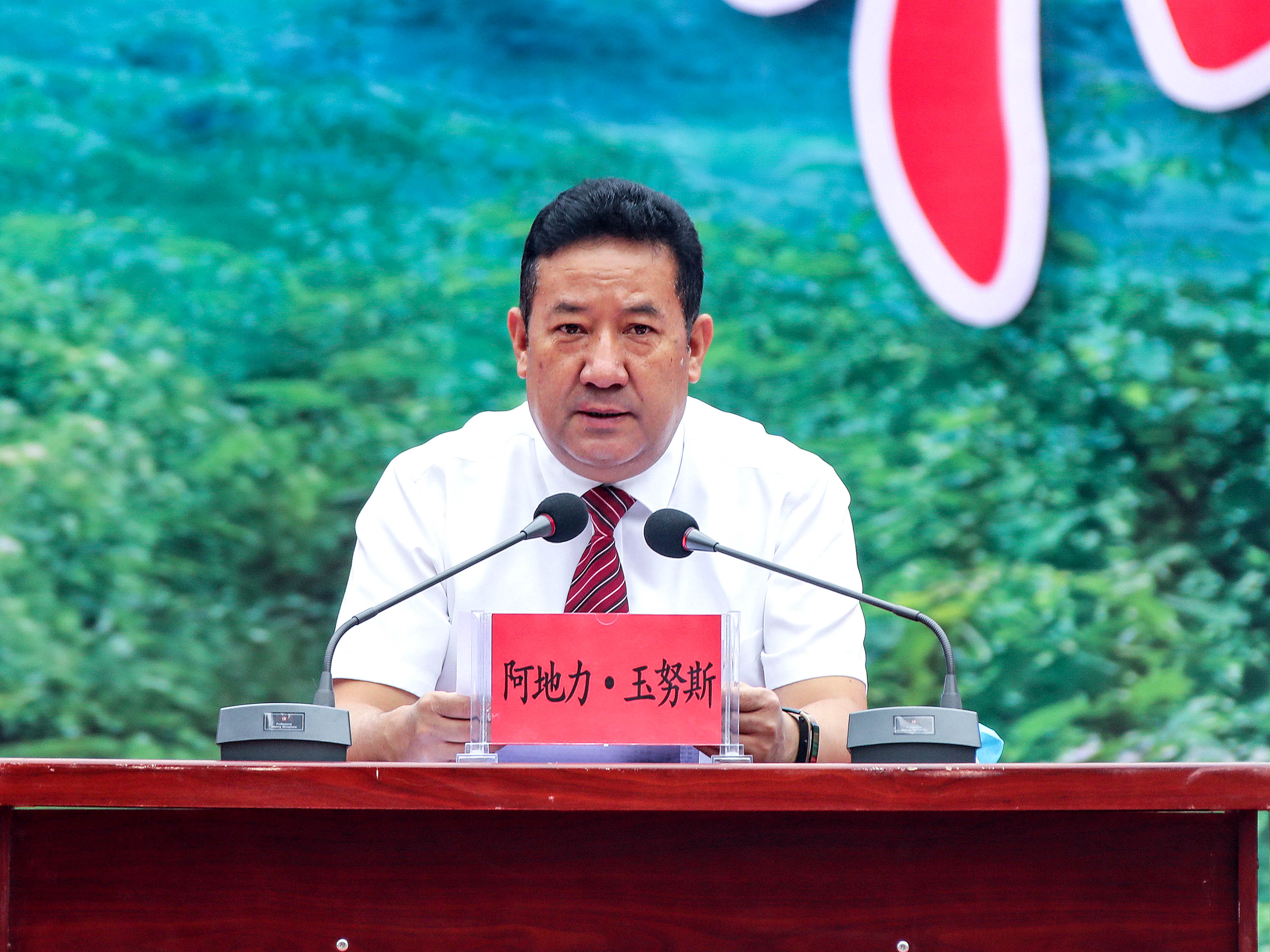 叶城县委副书记,县长阿地力·玉努斯介绍叶城县核桃产业发展及采摘