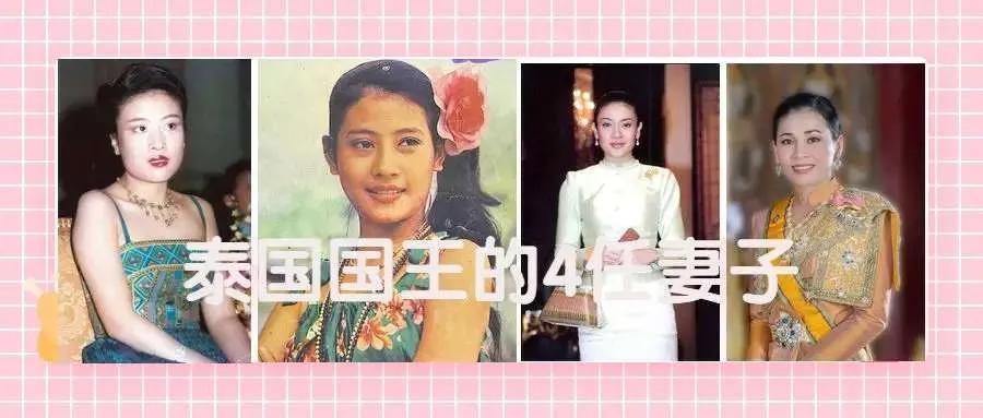国王|不到一年，废妃回宫，甄嬛传都没这么精彩，科普国王的家庭成员