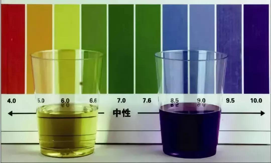 生料|生料液态酿酒口感提升的技巧学习