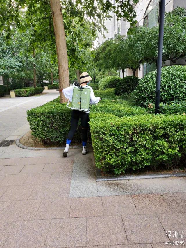 驱蚊水排行_张歆艺为孩子少挨蚊子咬,背桶满小区洒驱蚊水,她一直就非常好