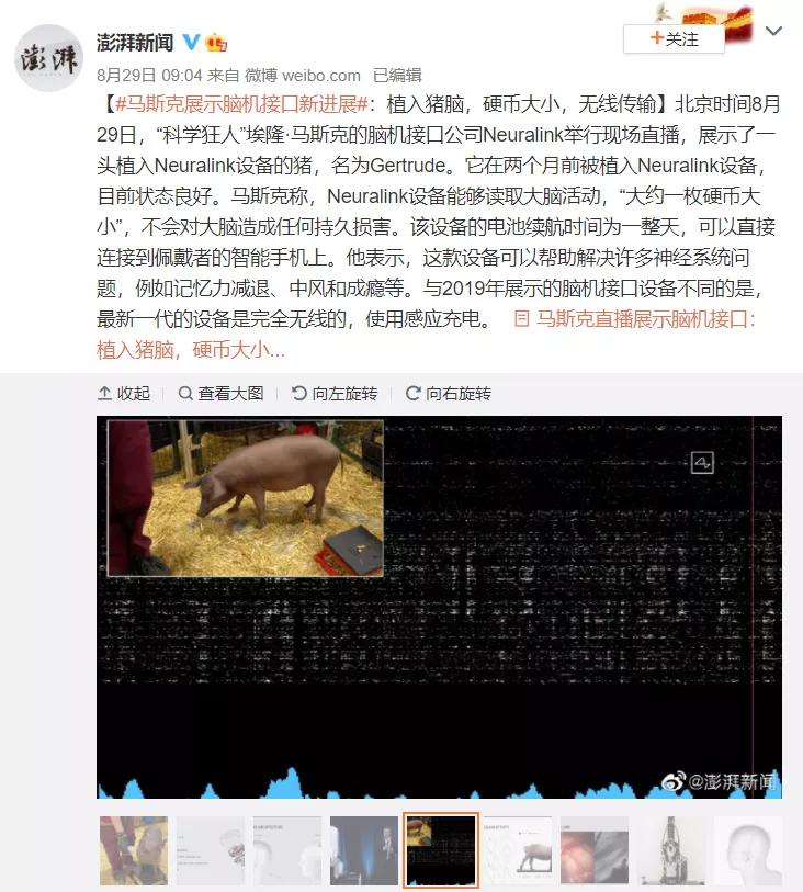 马斯克|马斯克这个让网友们高潮的脑机接口，真的挺弱的