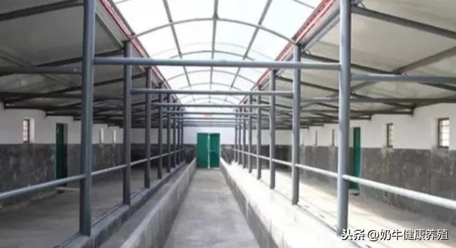 养牛场中间分出不同的区域,每个牛圈用金属的栏杆撑起遮风避雨的棚顶