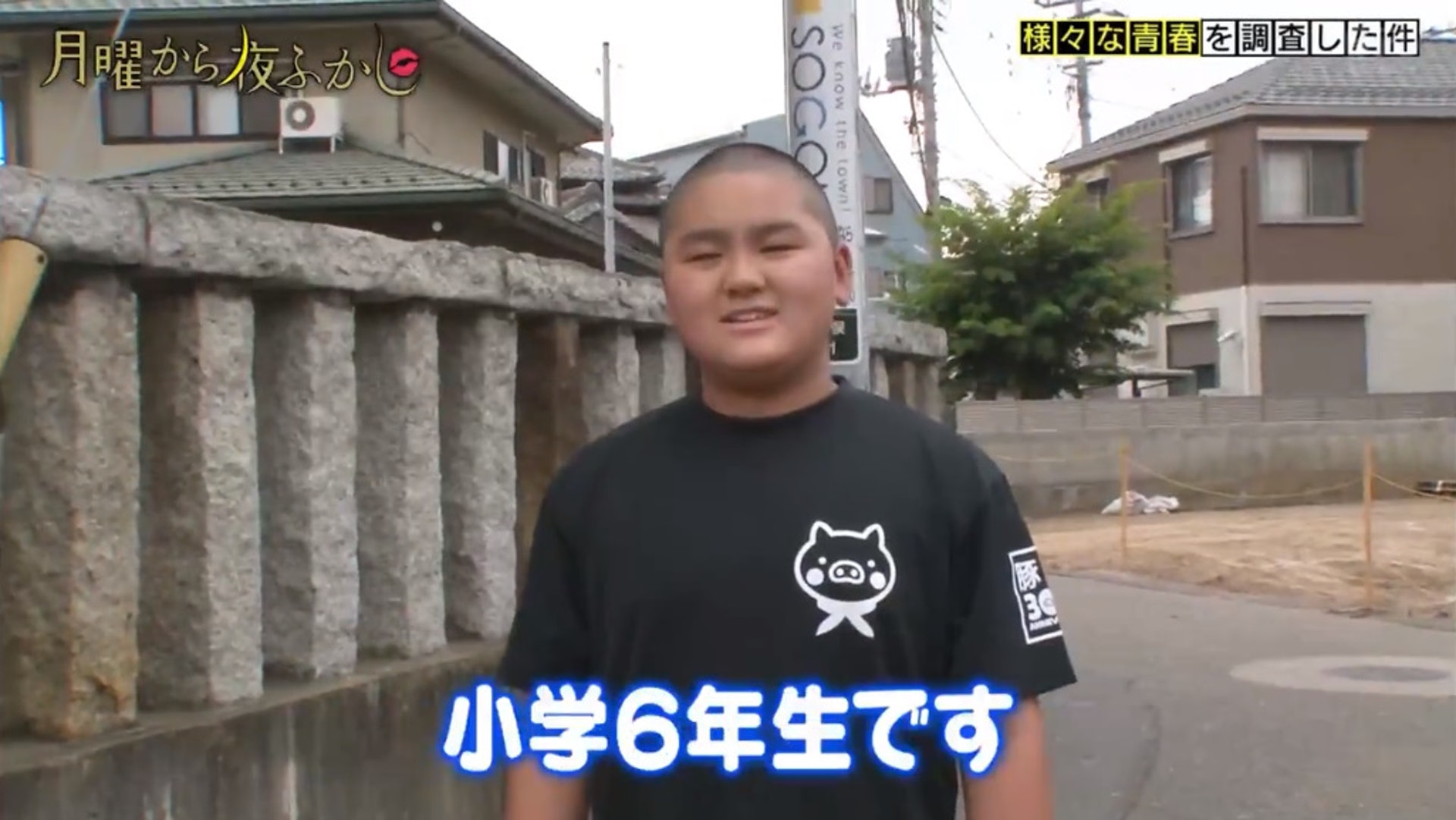 这位又圆又可爱的小胖子叫村越太城,今年12岁,正就读小学六年级.