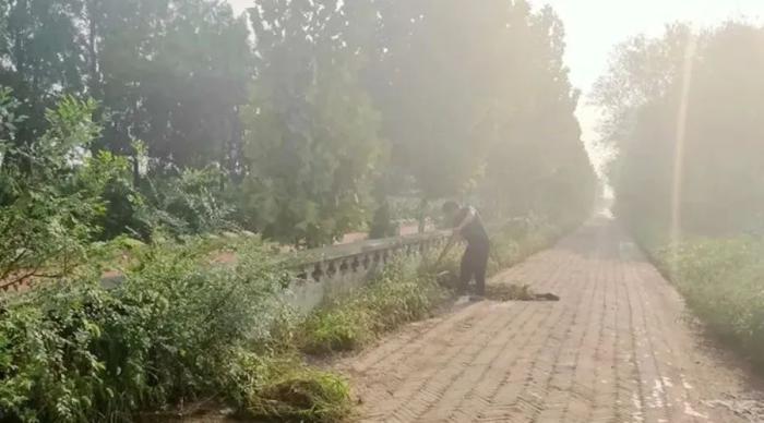 卧佛堂镇人口_重庆市潼南县卧佛镇