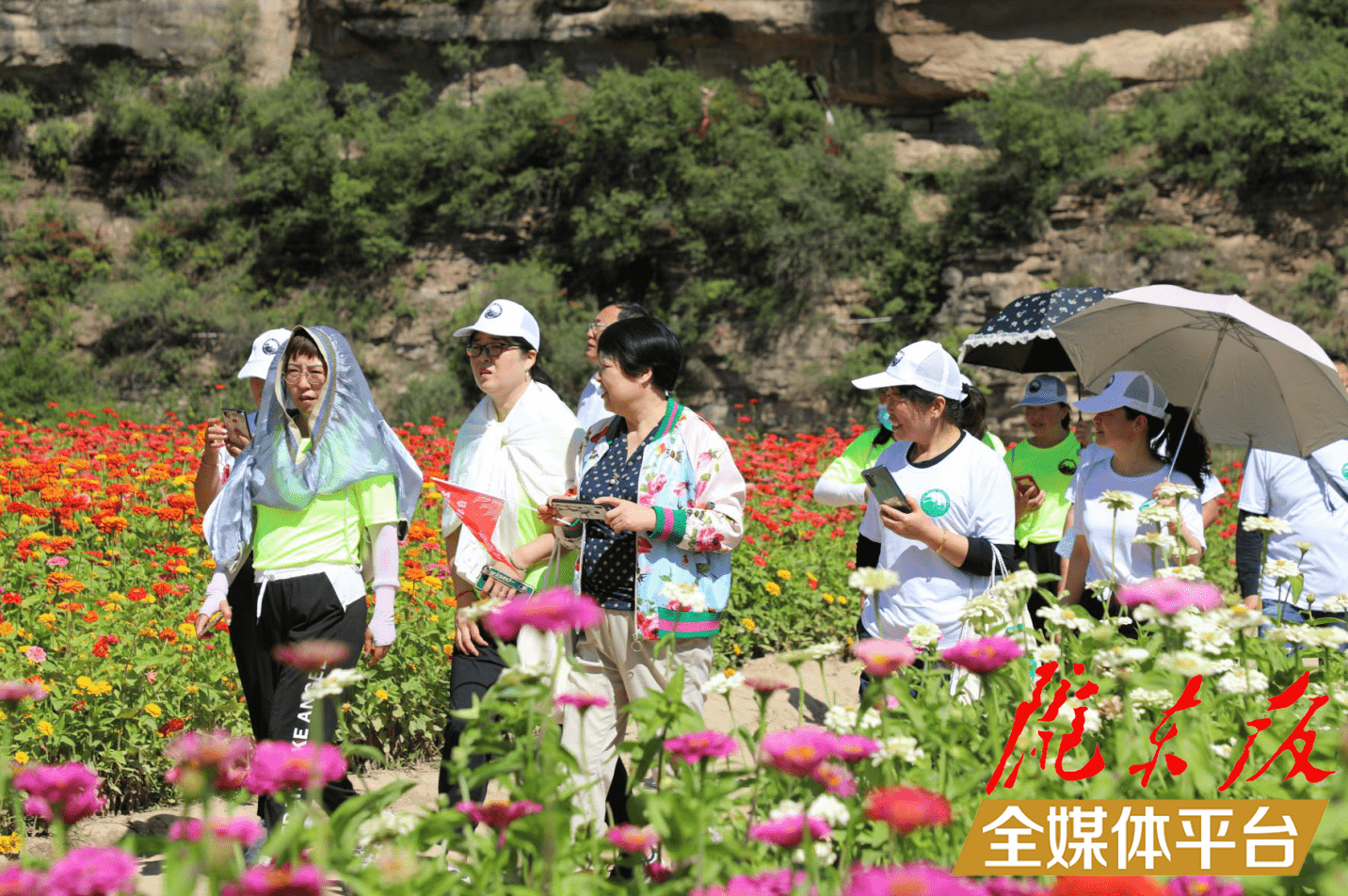 花溪谷景区位于合水县太白镇连家砭村,占地954.