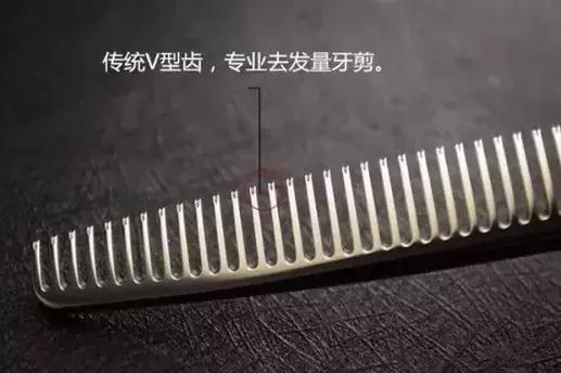 34aa9e7672e44cc485fc357b64dead91.jpeg