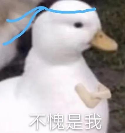 警告|国产羊肉狗粮测不出羊肉后续，生产工厂伪造，信Y可能律师函警告