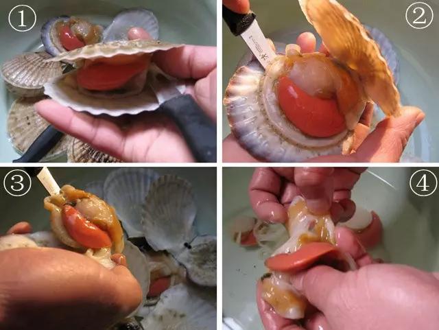 扇贝黑色的部分是扇贝的内脏建议去掉,不要食用.