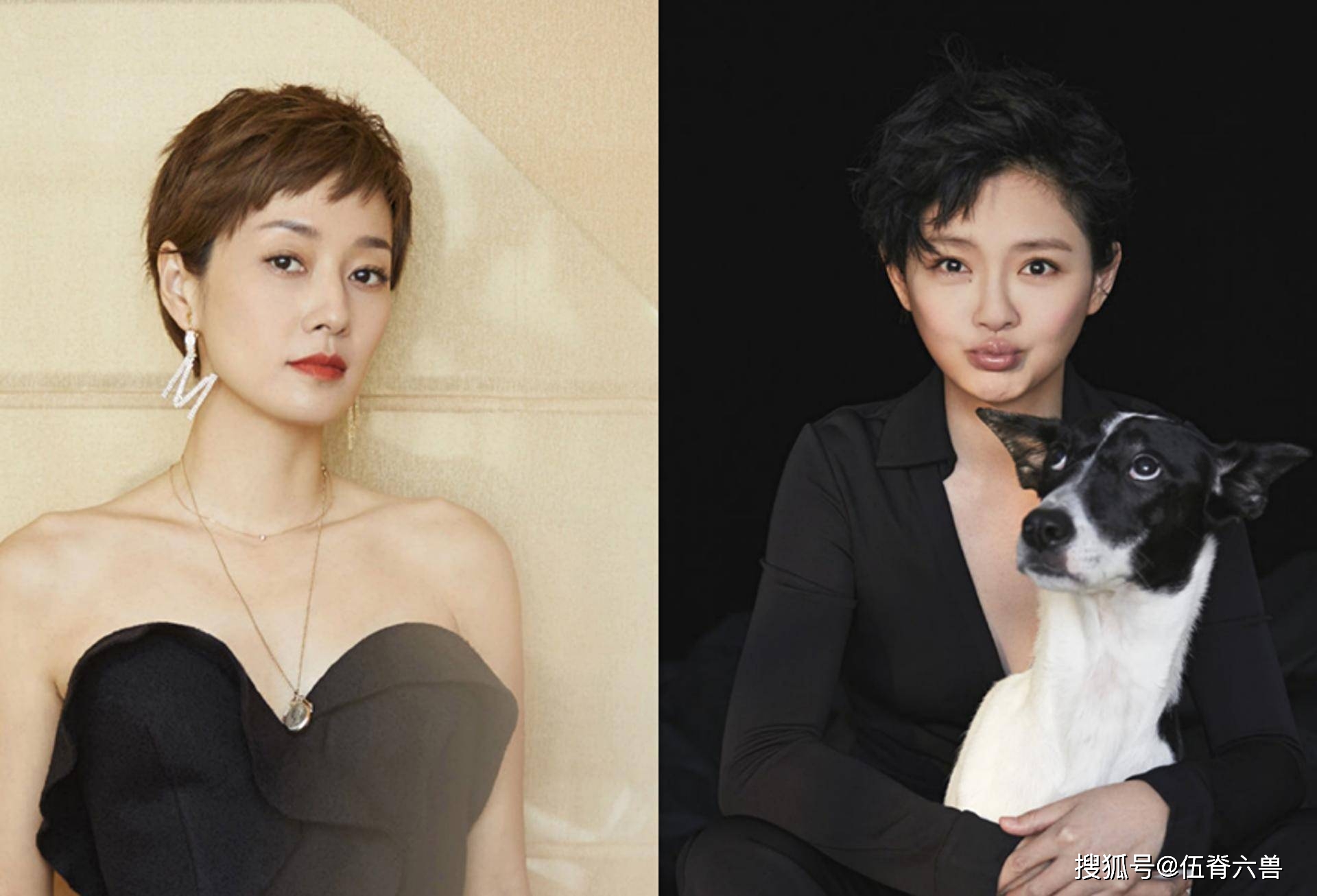 同为44岁女星，为何马伊琍仍能演偶像剧，大S却