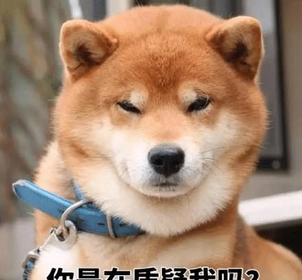 c496df9743fb49e9a624eb280370589b.jpeg