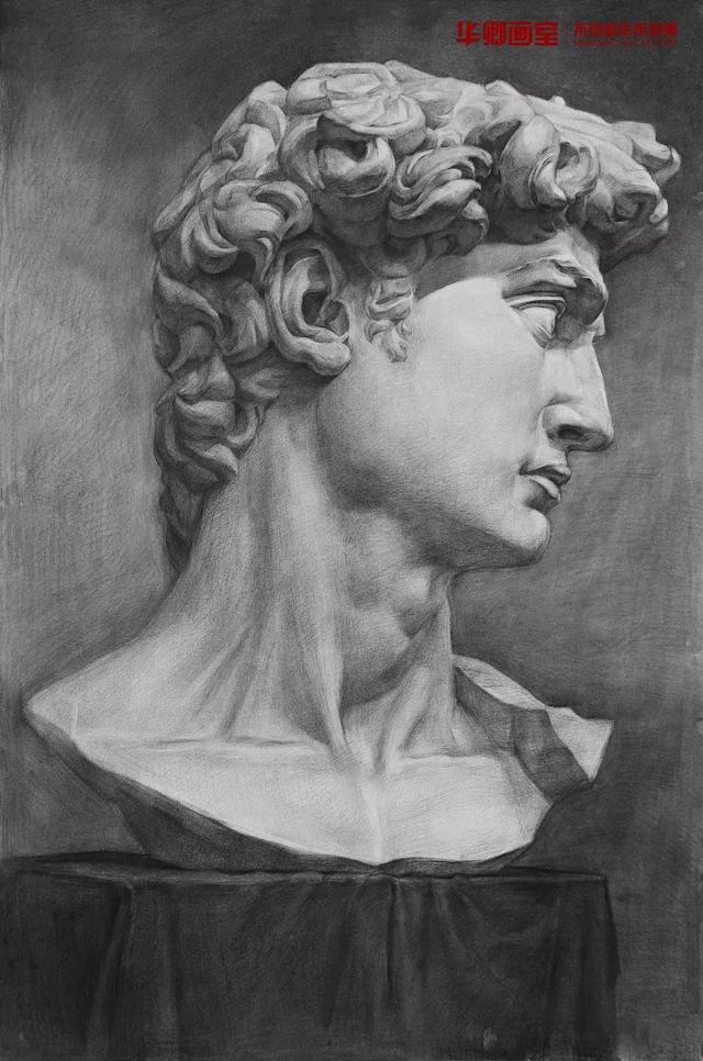 消息资讯|招生简章｜寒假班抢床位手慢无华卿寒假班开放100名额抢先报