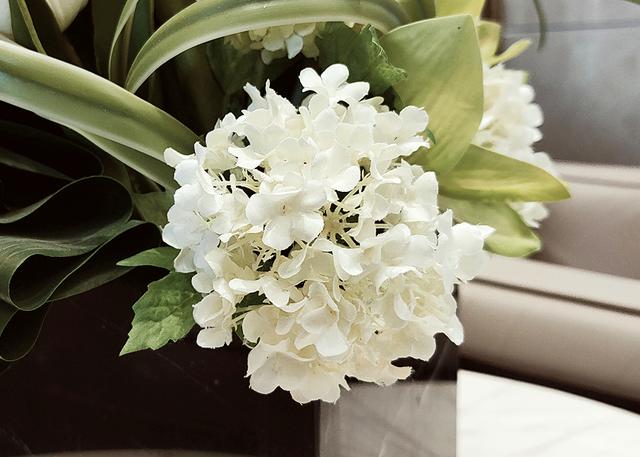 手机|用好您的OPPO Reno系列手机，轻松拍出精彩照片