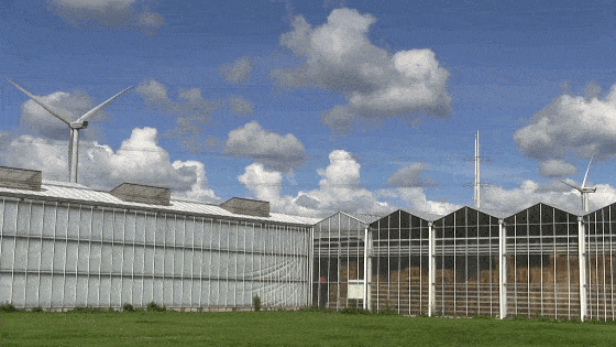 560_315gif 动态图 动图