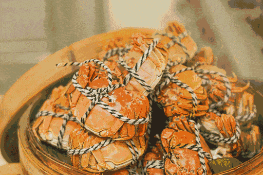 68bf80bcbf3f47668bd9b84b5e5cc8a7.gif