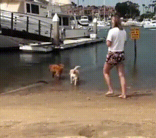 搞笑gif:大姐,你这花式划酒拳,看得我也是醉了