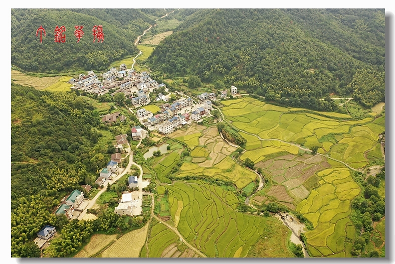 陈坊村人口_人口普查