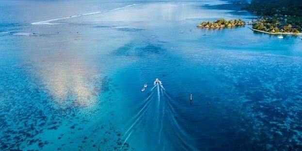 专业|@2021届考生 选文还是选理？男女生分别适合啥专业？越早知道越好！