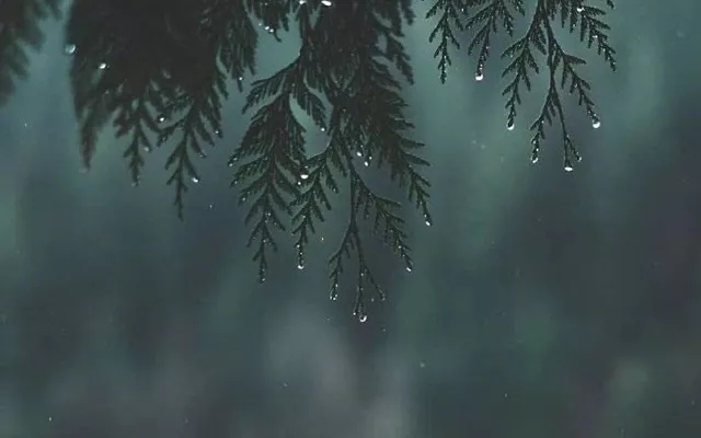 213fd1ee86e04b5f8d6f4d579a75c746.jpeg