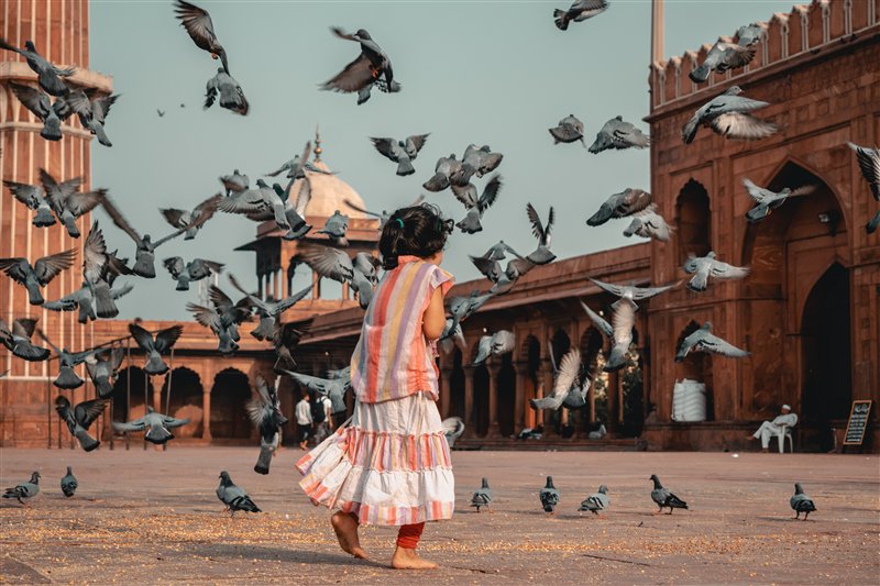 留学|留学中介英国安心机构