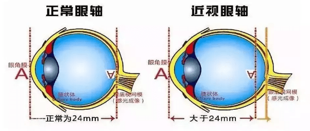 5a12f92b81564196ae4eccc719a44386.png