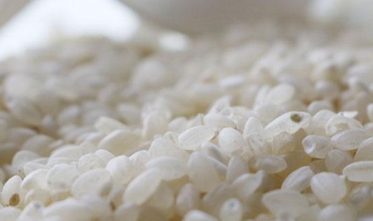 大米怎么储存才不会生虫子 c34eaaa1e08b406c9051e3665ec06e06.jpeg