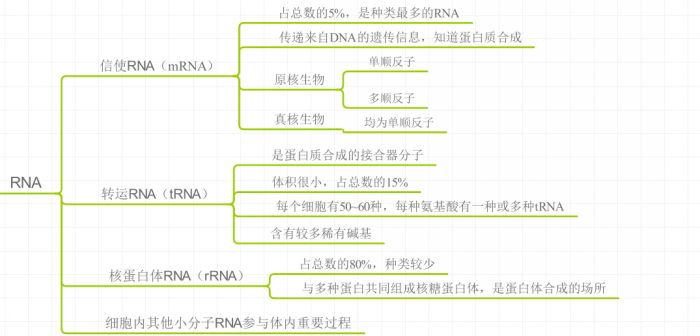 用思维导图软件imindmap画一份核酸基础知识导图