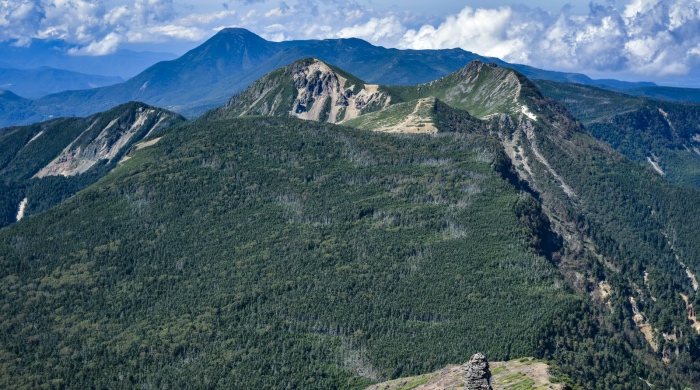 海信TCL创维康佳长虹半年报表明:传统彩电洗牌接近尾声-家电圈官网