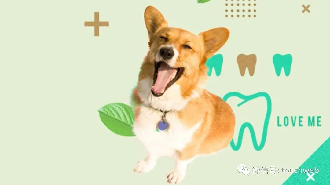 高盛|波奇宠物冲刺美股：年亏1.76亿 高盛与招商银行为股东