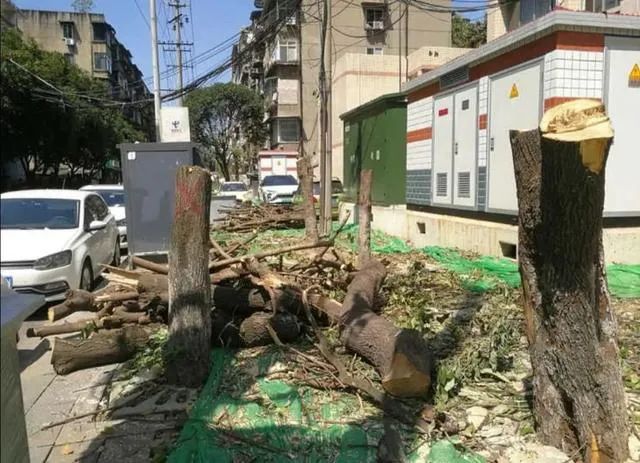 舆情热点回顾： 贵州大方县欠教师工资近5亿元