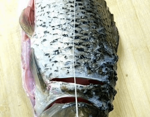 如何快速去鱼腥线 30b0102a95bd4643a83a858a2a276b89.png