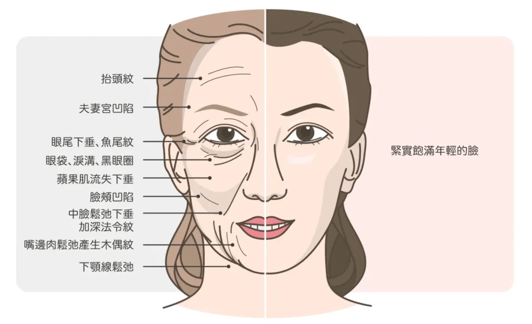 怎么才能不长法令纹 737ed1b7441f450fa85e2a396d70c37a.png