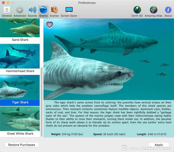 Sharks 3D 2.0.0