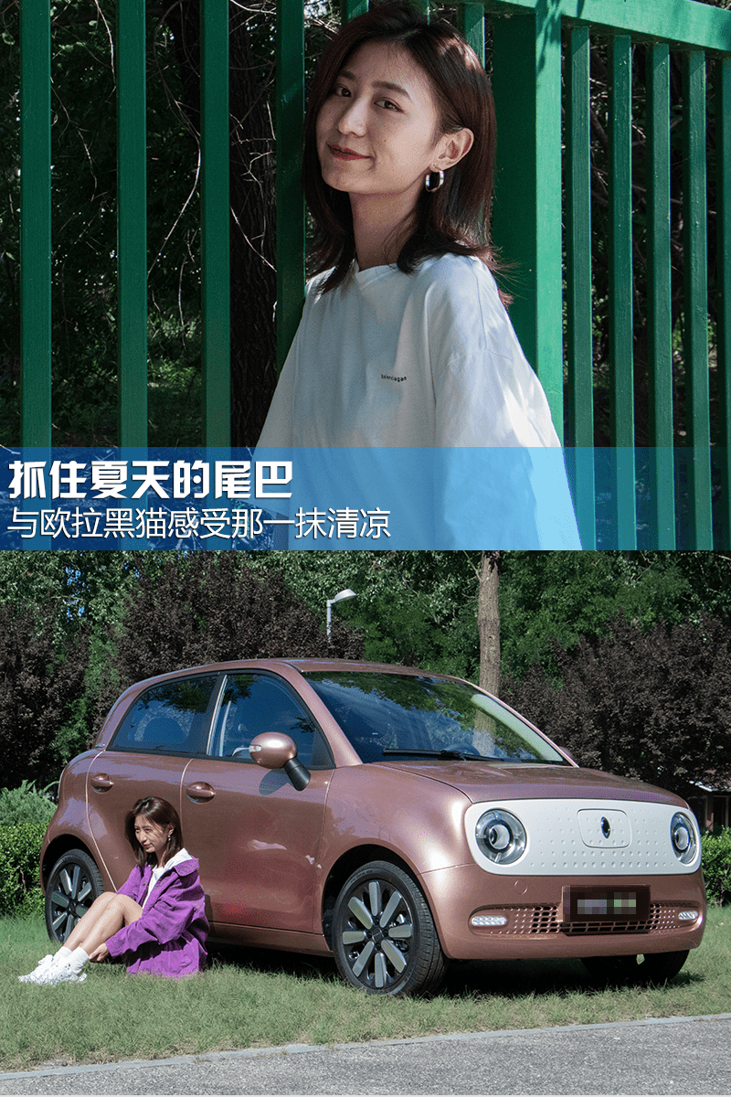 viola|抓住夏天的尾巴 与欧拉黑猫感受那一抹清凉