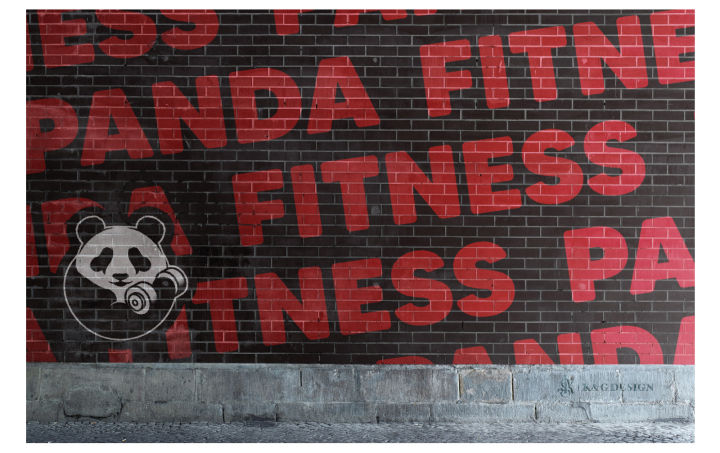 Logo|健身房Logo设计——熊猫健身
