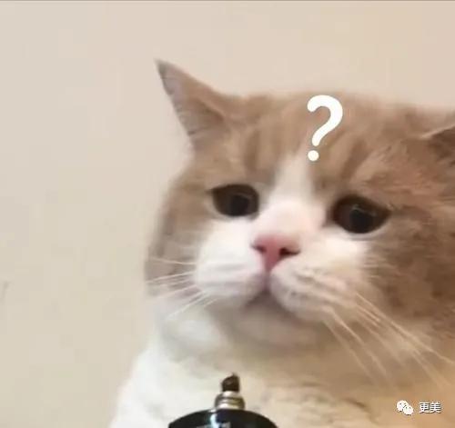 硬杠|郭碧婷再传婚变？孕期硬杠、不愧是向太都制不住的女人！
