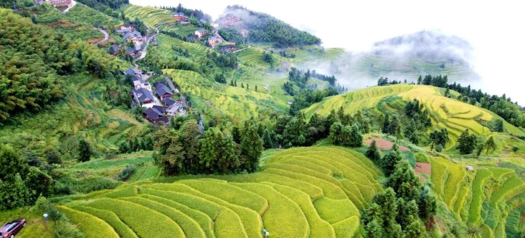 紫鹊界|湖南省首届乡村文旅网红大赛总决赛即将在紫鹊界火爆开启