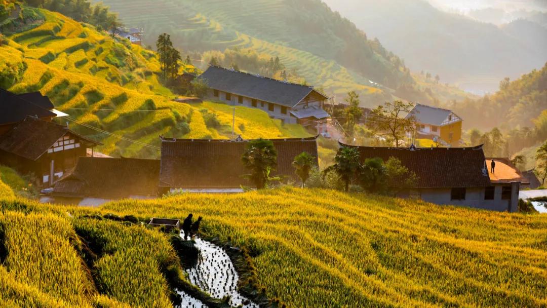 紫鹊界|湖南省首届乡村文旅网红大赛总决赛即将在紫鹊界火爆开启