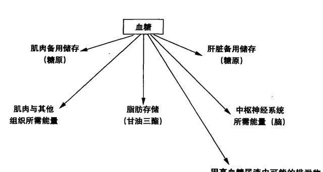 ff13c8d5fcb4467a898c30ff7201bfec.jpeg