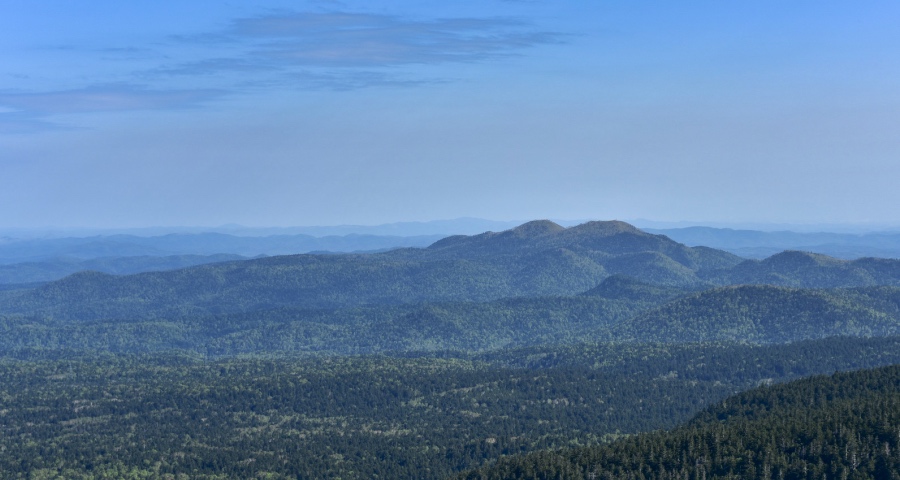 国家产业新政再为家电业吹进暖风:减负、指路、立标杆!-家电圈官网