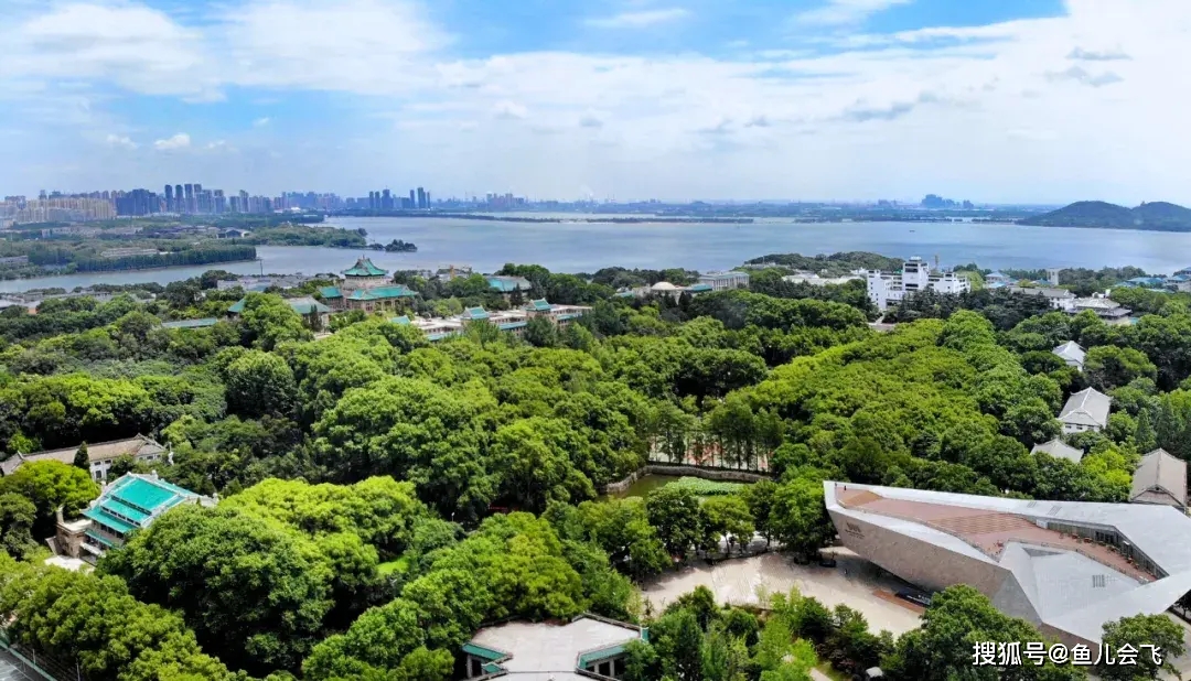 小学霸|武汉大学最小新生仅13岁,来自高考第一大省河南比北大最小新生还强