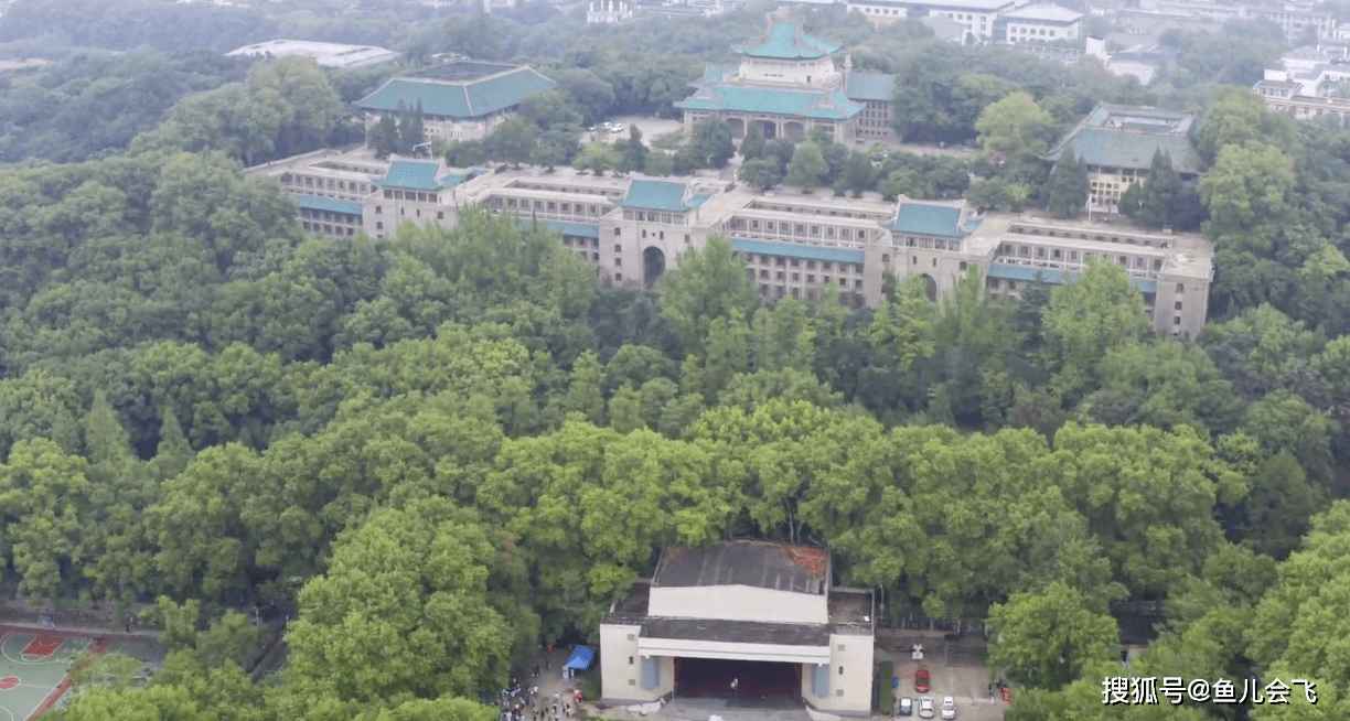 小学霸|武汉大学最小新生仅13岁,来自高考第一大省河南比北大最小新生还强