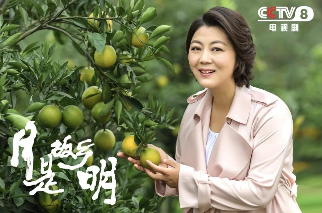 央八新剧9月19日看月是故乡明