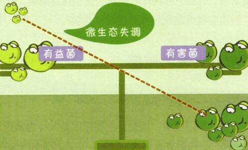 宝宝|过敏体质宝宝需要补充益生菌吗？详解一下