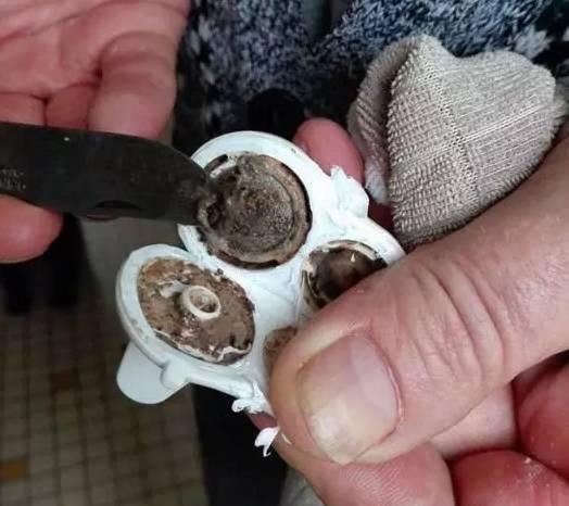 杯子|这些婴儿用品里全是“脏东西”宝宝杯子有多脏？拧开后宝妈发愁