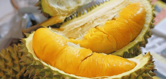 怎样选榴莲的小技巧 c50021316fd24db8844d0d415b6dbca4.png